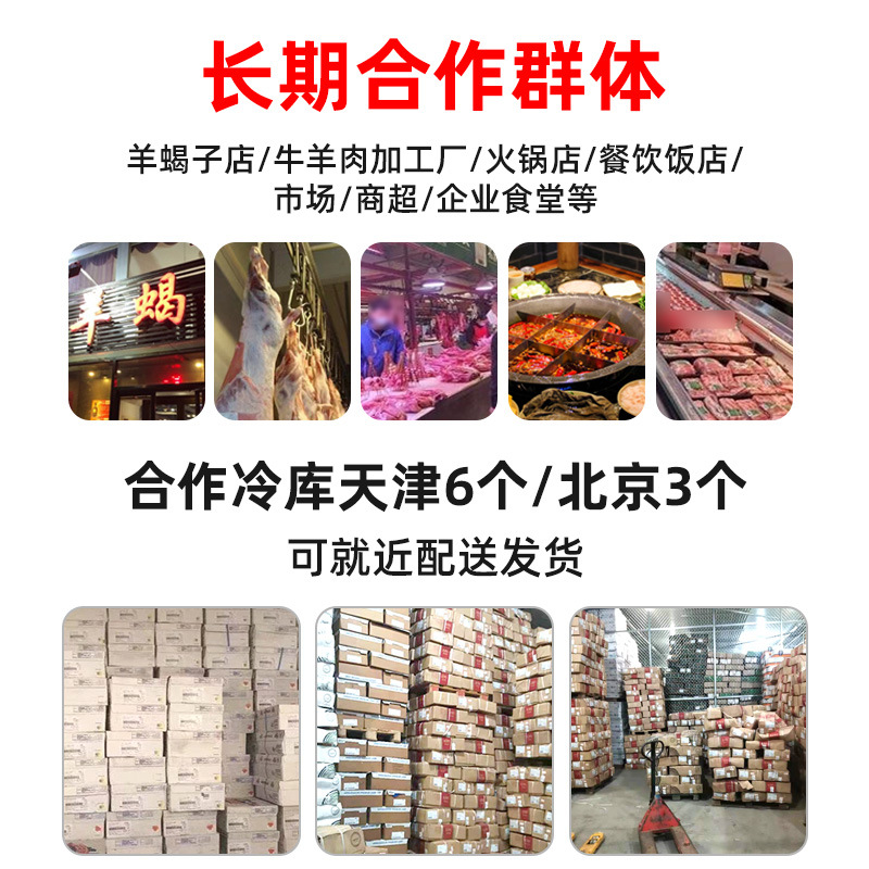 Wholesale New Zealand 71 Factory Lamb Spine Original Imported Lamb Spine Bone with Meat and Tendon for Use in Scorpion Restaurants