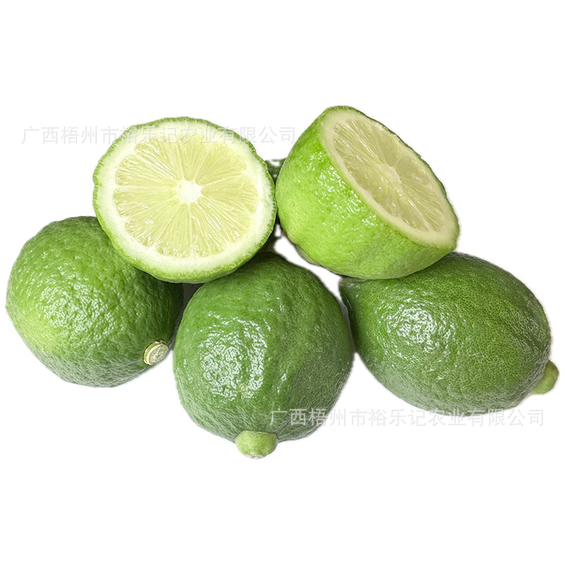 [Direct Delivery from the Place of Origin] Guangdong Perfume Lemon Hand-Made Seedless Green Fresh First-Grade Fruit for Milk Tea Shops