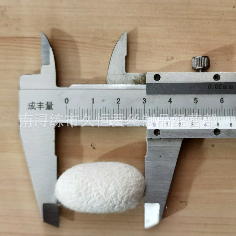 Natural White Complete Mulberry Silk Cocoon with Pupa, Raw Silk for Silk Fan Production, Wholesale Mulberry Silk Cocoon