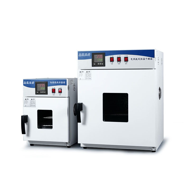 Electric blast constant temperature dryer university laboratory drying oven double air centrifugal fan food dry fruit dryer