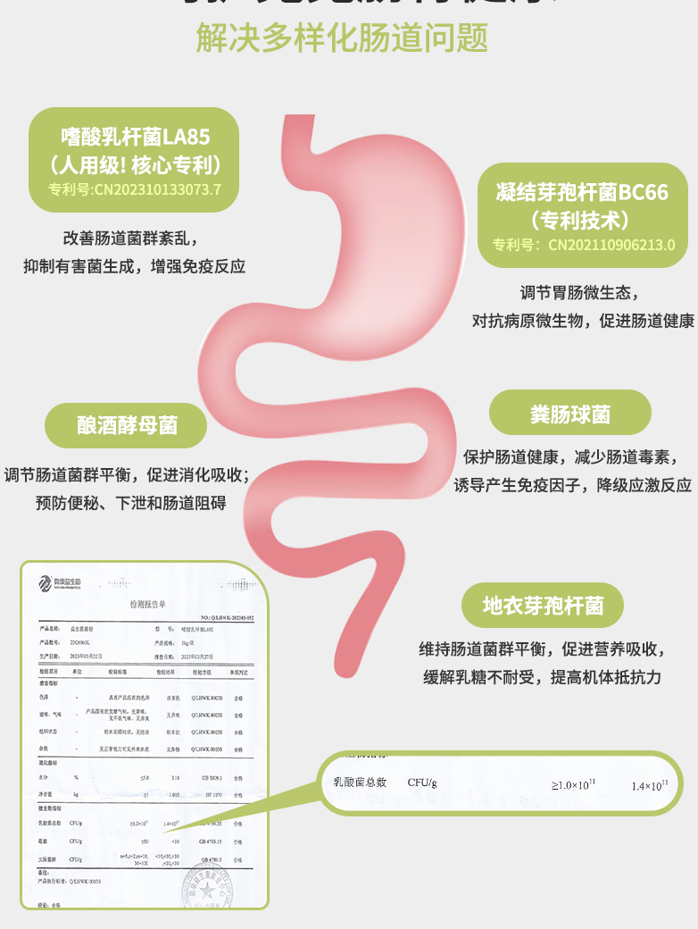 Kangbichi Rabbit Probiotics Regulate the Gastrointestinal Tract, Guinea Pigs and Chinchillas Have Soft Stools, Loose Stools, Flatulence and Constipation to Help You Strengthen Your Health