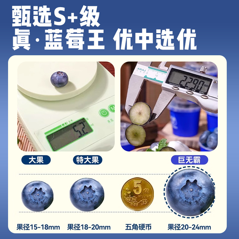 Yunnan Blueberry Fresh Fruit Gift Box Seasonal Alpine L25 Floral Fresh Fruit Pregnant Women Yi Ke Blue Plum Whole Box