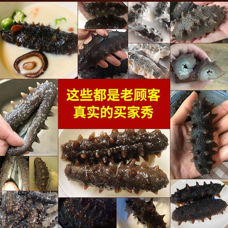 Ready-To-Eat Sea Cucumber, Fresh Wild Dalian Sea Cucumber, Fresh Liaocheng, Ready-To-Eat Non-Mi Thorn Dry Goods, Seafood Single Pack