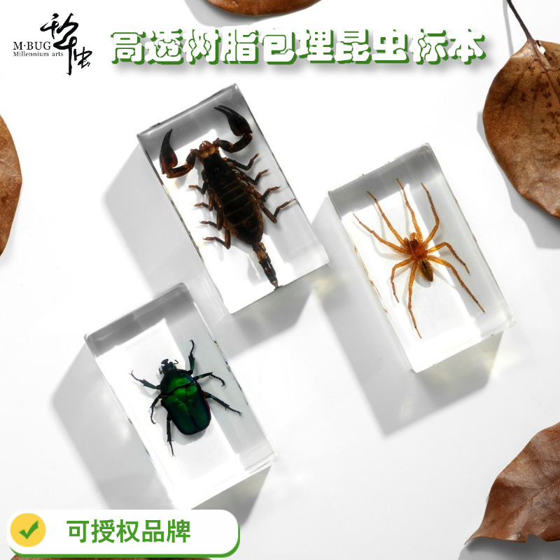 50+ Кросс-Бордер Прозрачная Смола Насекомое Экспонат Единорог Паук Скорпион Золотая Черепаха Пчела Креативные Книжные Город Орнаменты