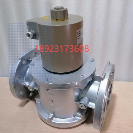 Shi Neng Solenoid Valve Sg50Rq/220 Sg40Rq/220 Sg32Rq/220 Sg25Rq/220