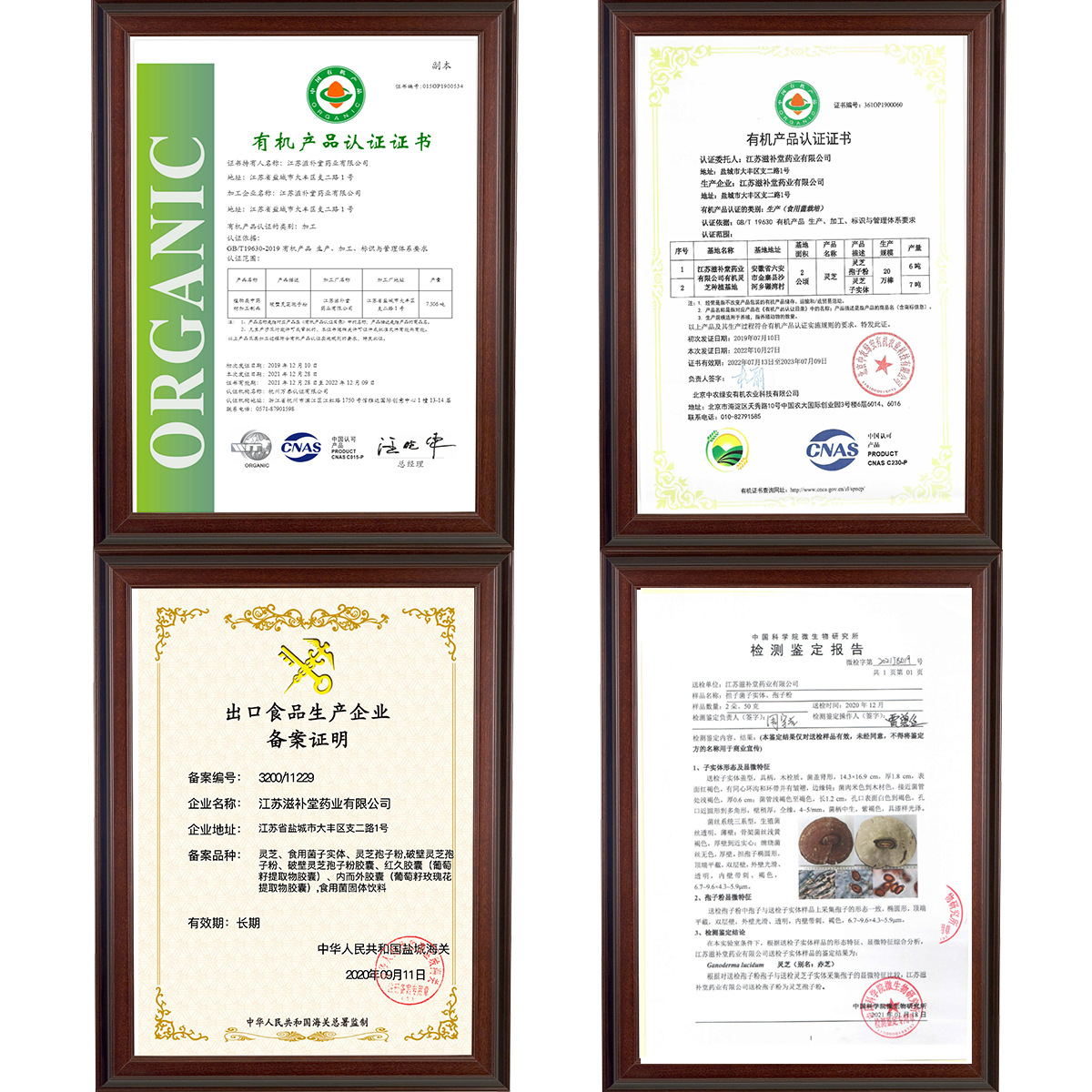 High-content broken-wall Ganoderma lucidum spore powder processing raw materials wholesale self-owned base source manufacturer