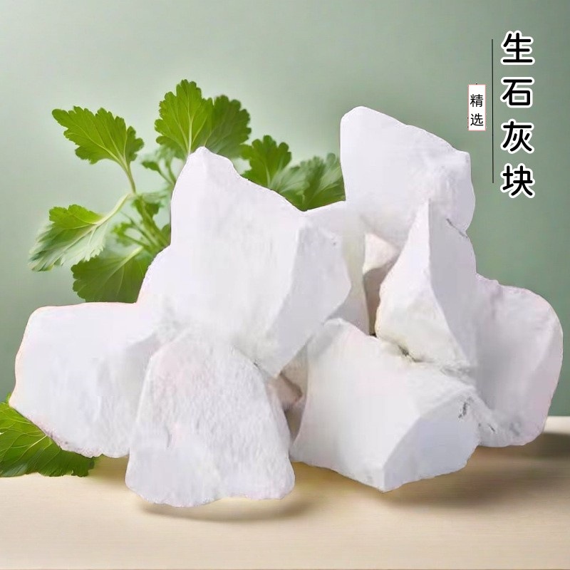 Quicklime Block Slaked Lime Calcium Oxide Aquaculture Improved Sewage Treatment Quicklime Block Quicklime Powder