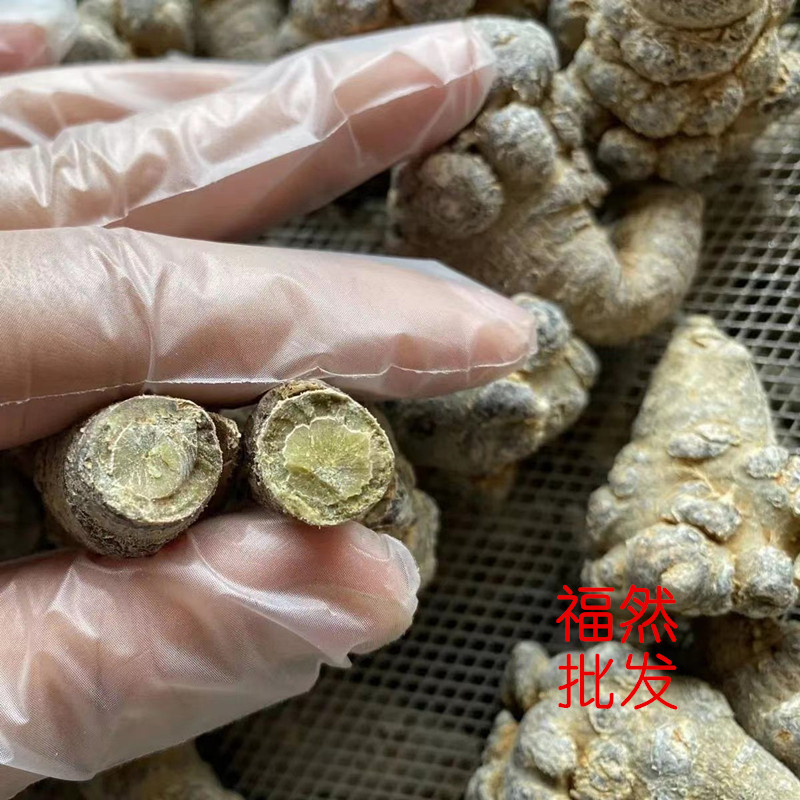 New goods Yunnan Wenshan Tianqi 20 head 30 head 40 head can be used to mill spring notoginseng origin wholesale origin direct sales