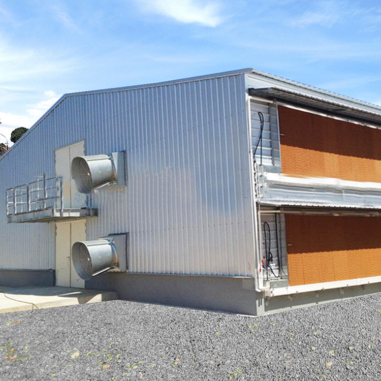 Light Steel Structure Enclosed Negative Pressure Ventilation Fully Automated Chicken Coop Exit