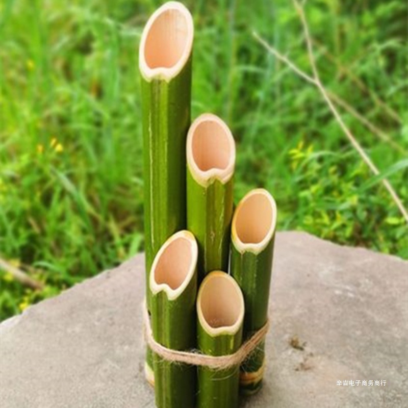 New Bamboo Tube Wedding Wedding Flower Ornaments Landscape Decoration Green Bamboo Natural Floral Decoration Bamboo Pole