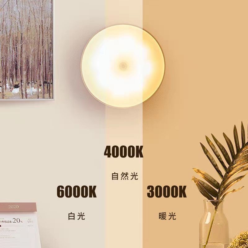 Switch + Intelligent Human Body Sensor Led Night Light, Dual-Color USB Rechargeable Magnetic Wardrobe Light with Smart Sensor