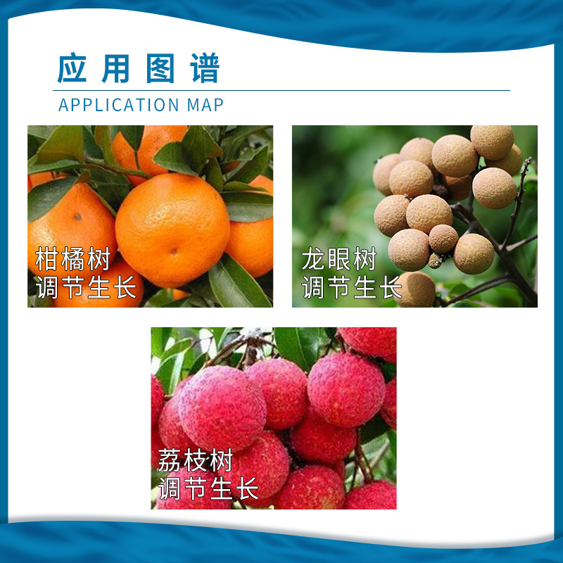 Yundaquan Tree Fruit 0.4% Brassinolide Gibberellic Acid Gibberellin Longan Citrus Litchi Growth Regulator