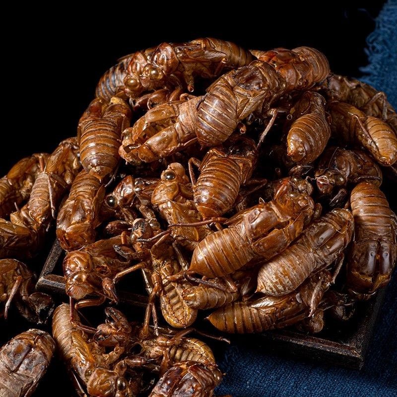 Cicada Molting Cicada Clothes Cicada Shell Cicada Molting Dry Goods 1.0kg Bulk Primary Agricultural Products Cicada Molting