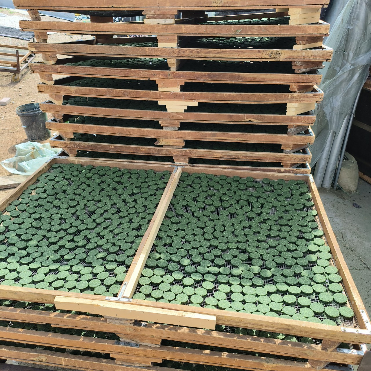 Independently Packaged Grass Cake Rabbit Molar Timothy Grass Cake Molar Biscuits Individually Sealed Chinchilla Guinea Pig Molar