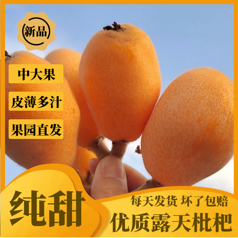 Sf Express Sichuan Alpine Five-Star Loquat Seasonal Fresh Fruit Freshly Picked Seasonal Sweet Loquat Seasonal Fresh Fruit Whole