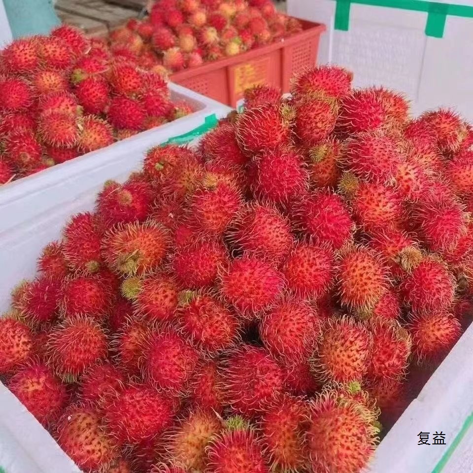Фрукты рамбутан личи упаковка тропические сезонные свежие фрукты сейчас собраны оптом бесплатная доставка свежие прямые волосы