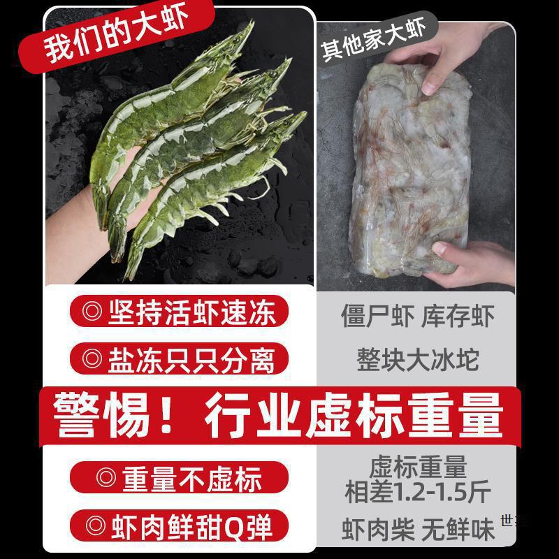 Qingdao Prawns Fresh Shrimps Free Shipping 0 Salt Frozen Sea Shrimps Large Green Shrimps Base Shrimp Seafood Aquatic Products Quick-Frozen Frozen