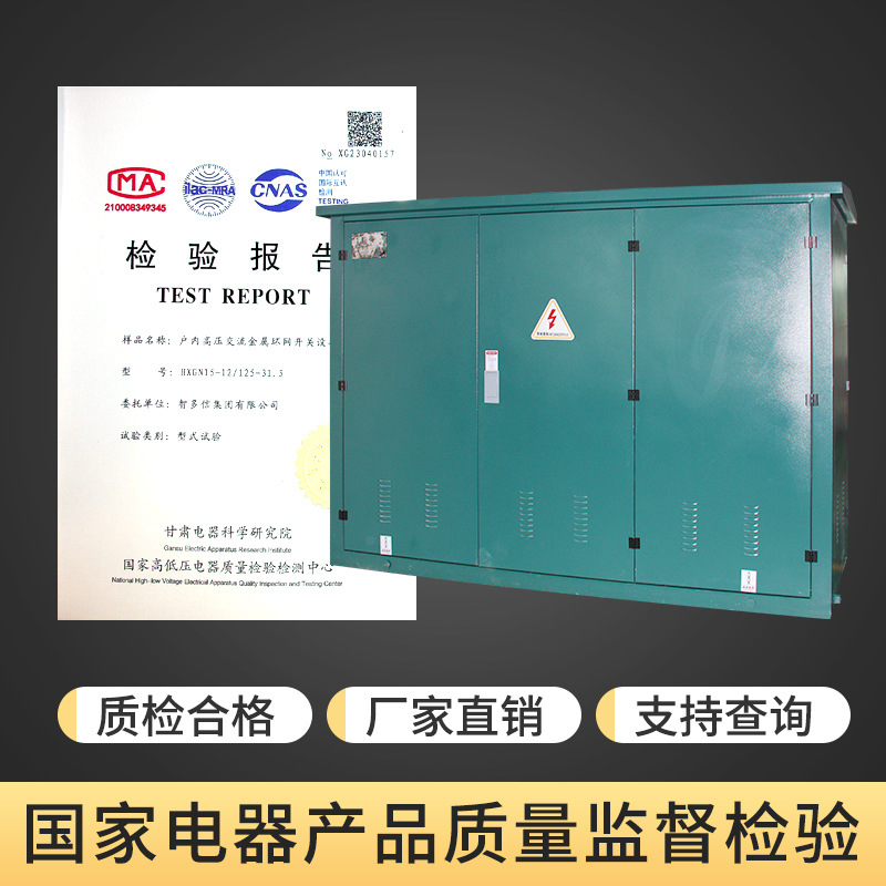 Hxgn15-12 Ring Mesh Cabinet Environmentally Friendly Gas Insulating Ring Mesh Box Opening Co., Ltd. 10Kv Solid Insulating Ring Mesh Cabinet