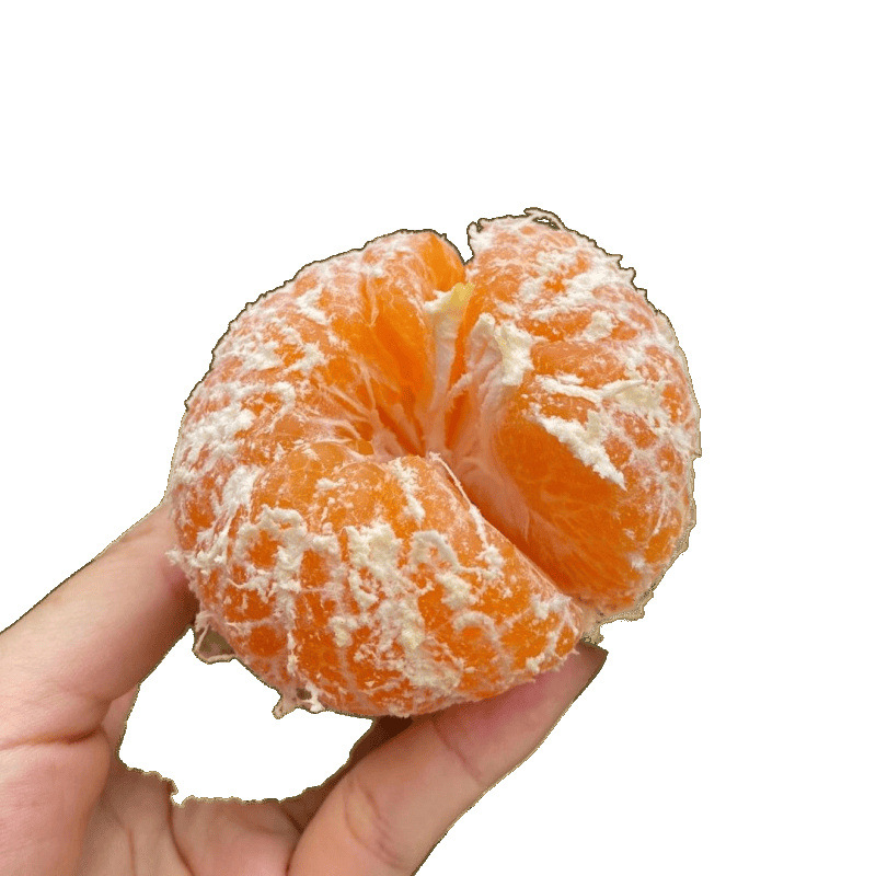 Freshly Picked Yunnan Mandarin Oranges, Extra Early Maturing Huaining Fresh Thin-Skinned Green-Skinned Sweet and Sour Fruit Seedless Mandarin Oranges for Pregnant Women