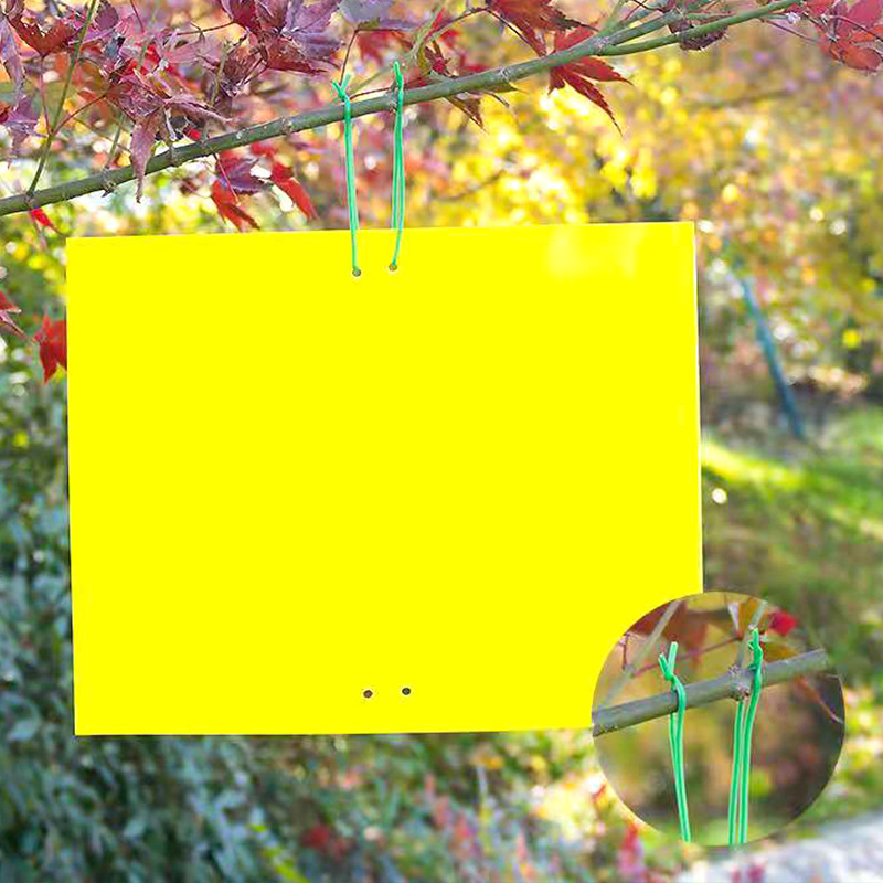 Stickworm Board Double-sided Stickworm Board Yellow Blue Board Yellow Board Trap Board Yellow Blue Integrated Stickworm Board Manufacturers Foreign Trade Amazon