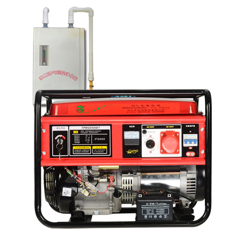 Biogas Generator for Farms 10Kw Small Gas 220V Single Phase 5000W Household 380V Three Phase 8 Kilowatts