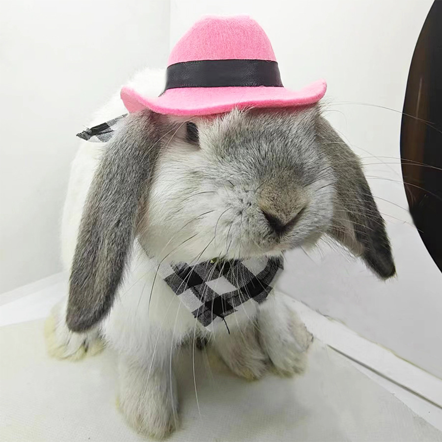 Pet Rabbit, Guinea Pig, Guinea Pig, Chinchilla, Hedgehog Hat, Small Hat, Cowboy Hat, Saliva Towel, Triangle Towel Transformation