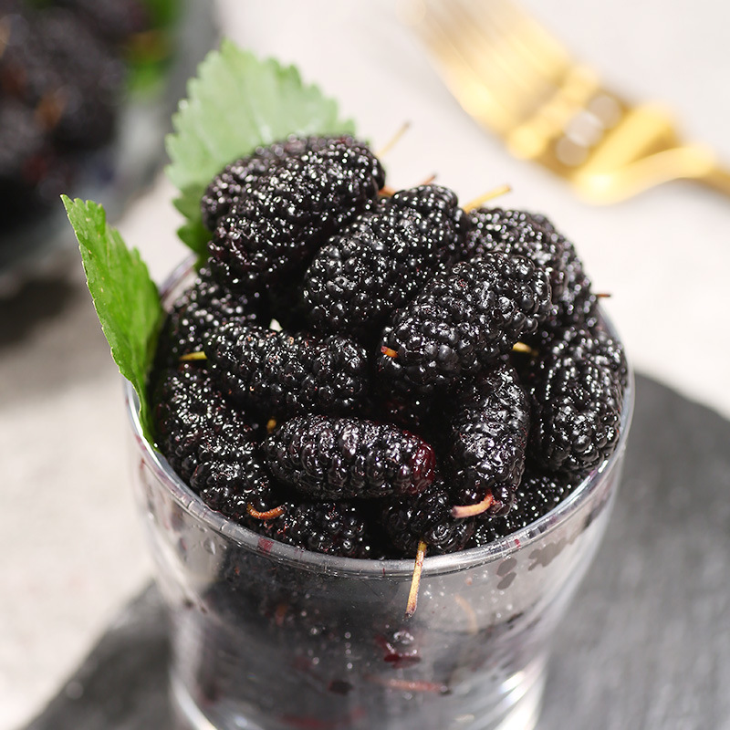 Loulan honey mulberry dried 225g Xinjiang sand-free clean mulberry non-special grade black mulberry dried to eat tea and make wine