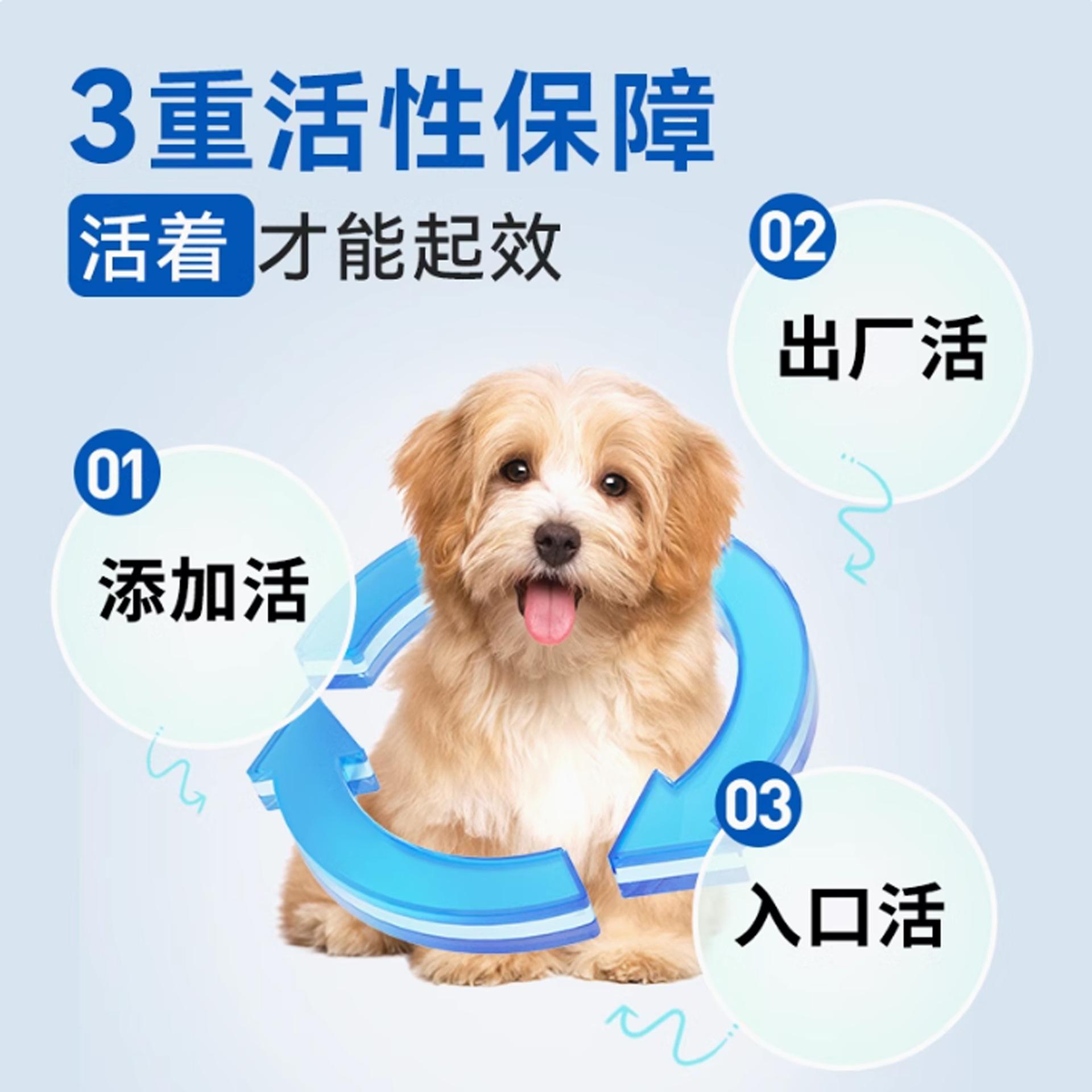 Pet Probiotic Powder for Cats and Dogs to Regulate Gastrointestinal Vomiting and Improve Soft Stools and Diarrhea Pet Nutritional Supplement