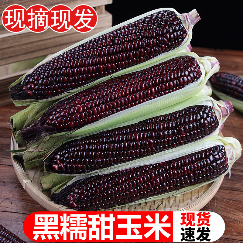 Fresh Black Glutinous Corn 5kg Freshly Picked Seasonal Whole Box of Black Sweet Glutinous Corn Tender Meal Replacement Corn Vegetable Free Shipping