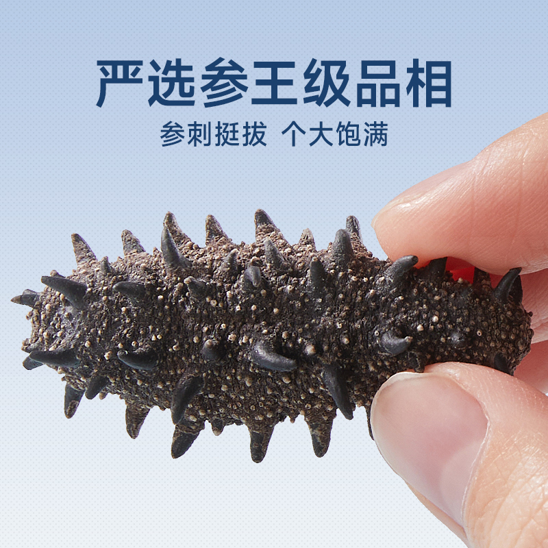 [National Standard 11 Times Soaked] Dalian Lightly Dried Sea Cucumber Dried Goods 9 Years Wild Liaoning Sea Cucumber Mid-Autumn Sea Cucumber Gift Box