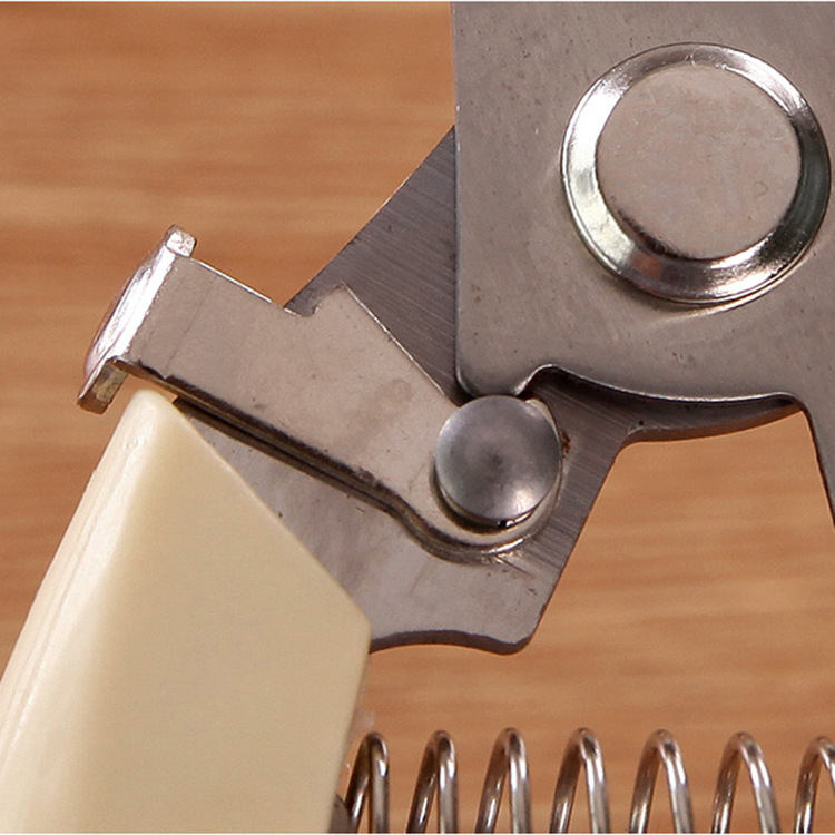 Multi-Functional Pruning Shears, Branch and Fruit Branch Shears, Fruit Tree Tools, Branch Shears, Floral Pruning, Gardening Scissors