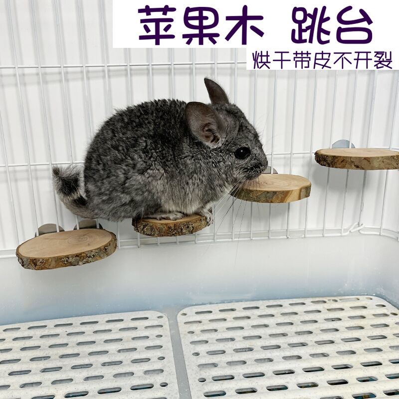 Платформа из яблочного дерева для сушки, игрушка для моляров Тоторо, платформа для белок, платформа для хомяков, пружинная доска, лестница из массива дерева, оптовая продажа