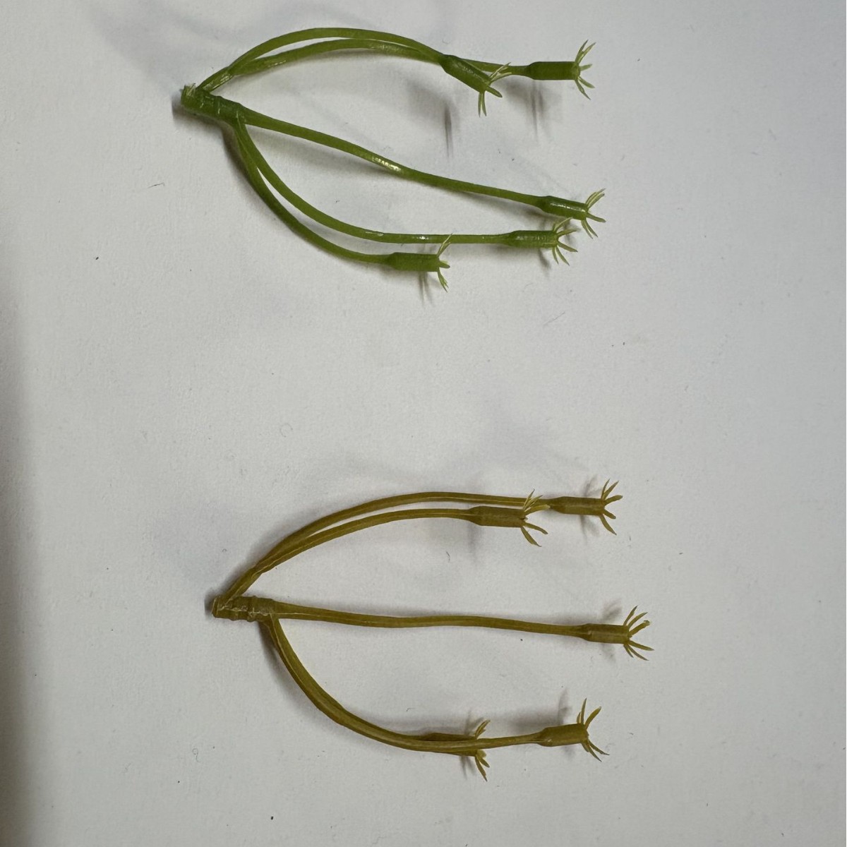 in stock supply simulation flower fake flower wholesale simulation fruit branchlets flower arrangement with floral design simulation berry