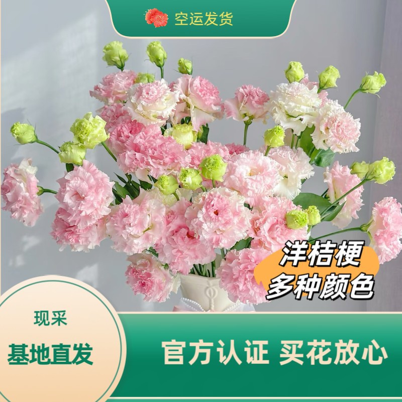 Прямые цветы эустомы из Юннани, оптовая продажа для свадебных цветочных магазинов