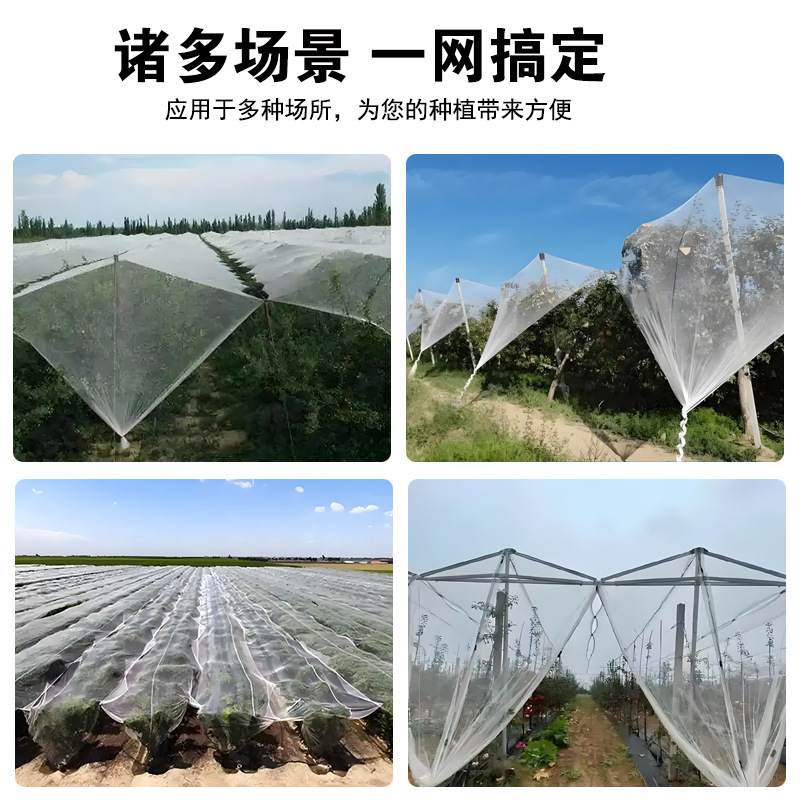 Wholesale Hail Net in Stock 40-100 Mesh Fruit Orchard Bird Net Fruit and Vegetable Farm Hail Net Supports Factory Inspection