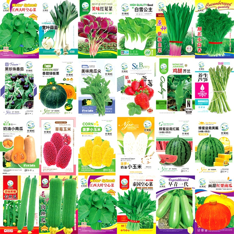 Manufacturer Wholesale Autumn Radish Cabbage Lettuce Rapeseed Color Bag Original Seed Cabbage Seeds Seedlings Vegetable Seeds