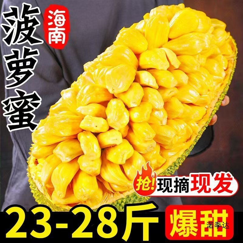 Spot Seasonal Hainan Sanya Jackfruit Fresh Fruit Yellow Flesh Jackfruit Fake Durian One Whole Free Shipping Red