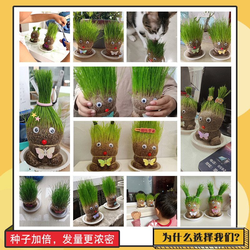 Grass Head Doll Wholesale Long Grass Doll Flowering Doll Kidsren's Small Potted Green Plants Hydroponic Plants Two Yuan Store Gifts
