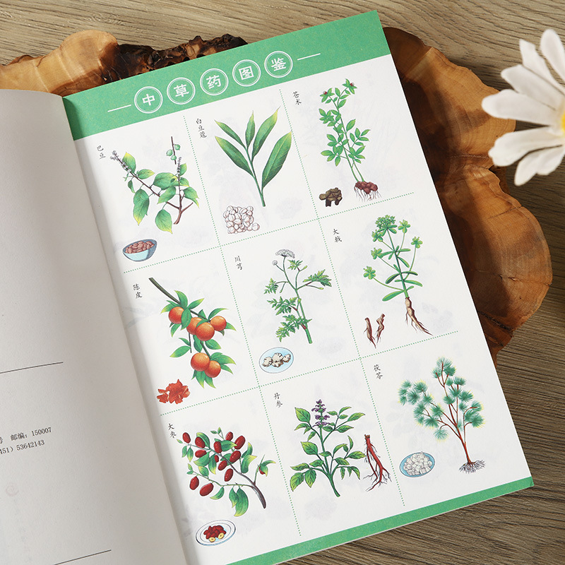 Hua Tuo's Complete Collection of Prescriptions, the Complete Heritage of Medical Classics, the Secret Prescriptions of Famous Doctors, the Symptomatic Application of Color Pictures, and the Detailed Explanation, You Can Understand It at a Glance