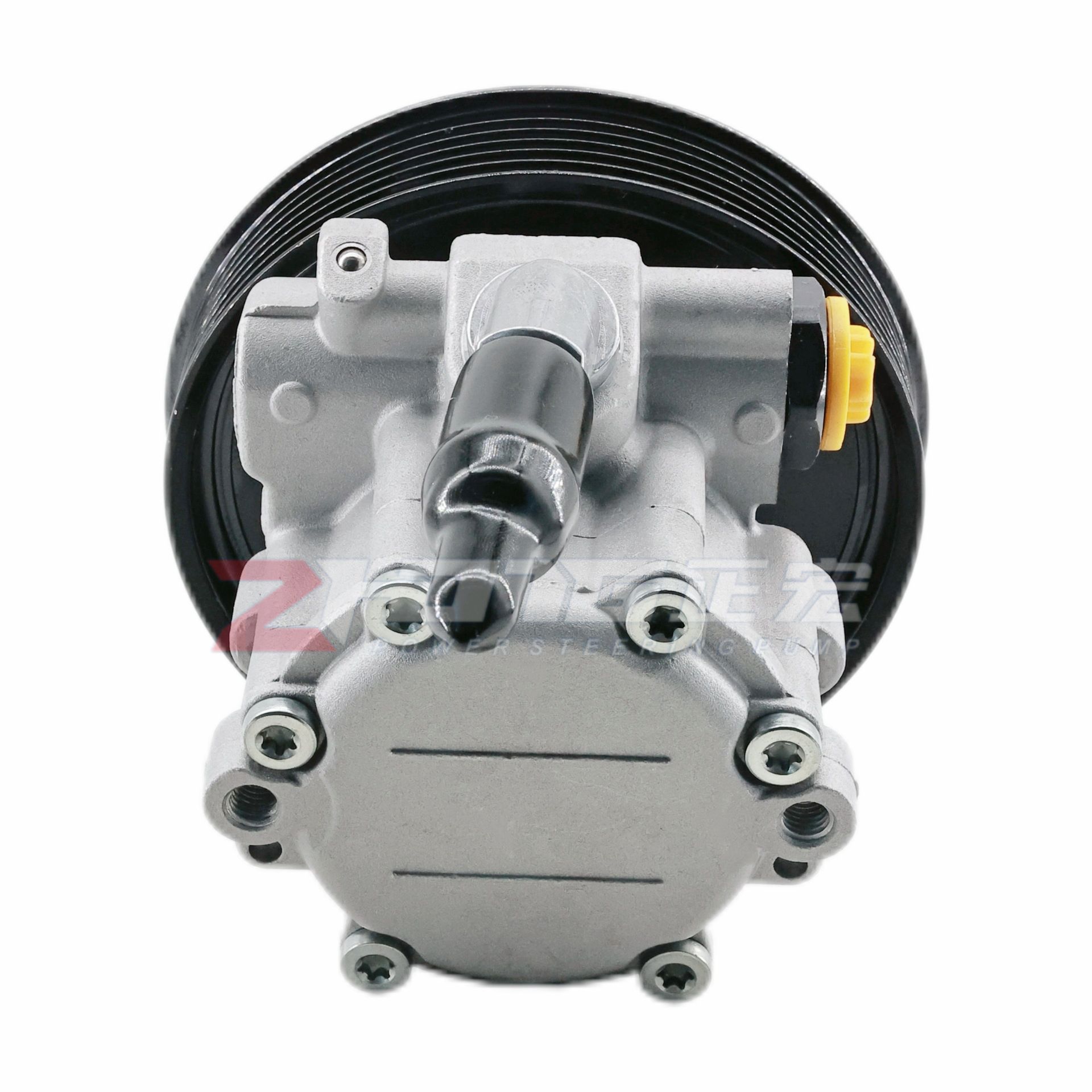 49110-5510R car power steering pump is suitable for Renault 491105510R