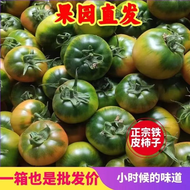 Dandong Saline-Alkali Land Persimmon Strawberry Persimmon Green Alkali Land Oil Persimmon Iron-Skinned Tomato Fruit Tomato