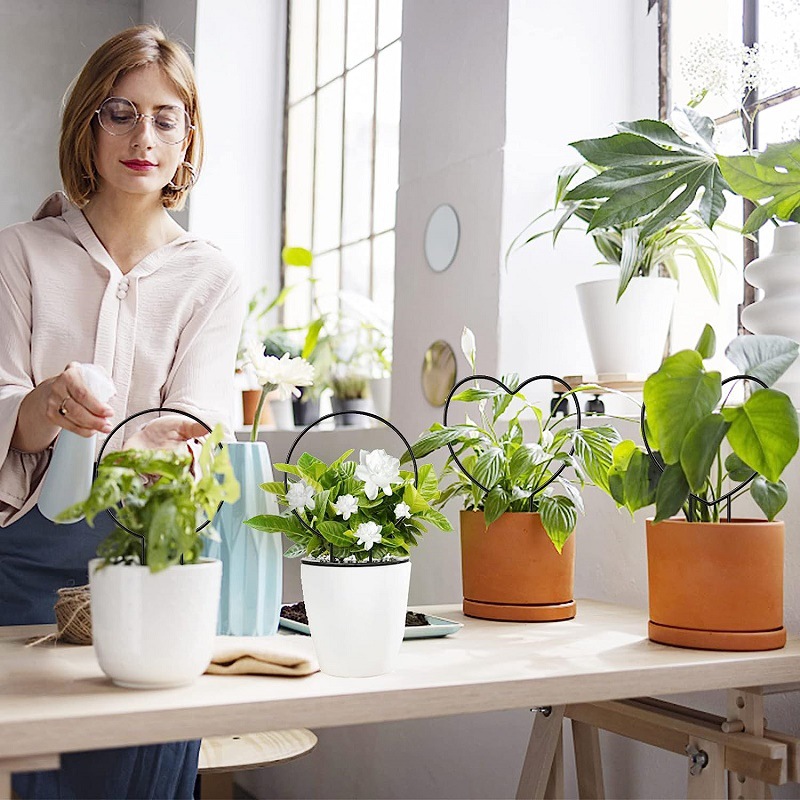 Cross-border Amazon Gardening Stand Plant Climbing Stand Climbing Vine Stand Mountain Tortoise Flower Stand Basin Stand