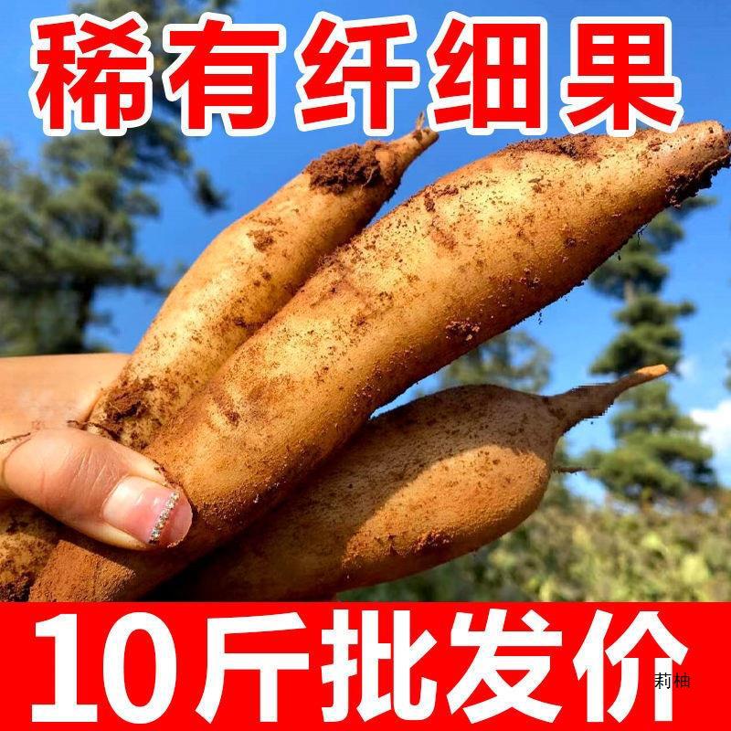 [Slender Fruit] Yunnan Tianshan Snow Lotus Fruit Fresh Fruit Whole Box Red Heart Pregnant Women Snow Lotus Yellow Heart