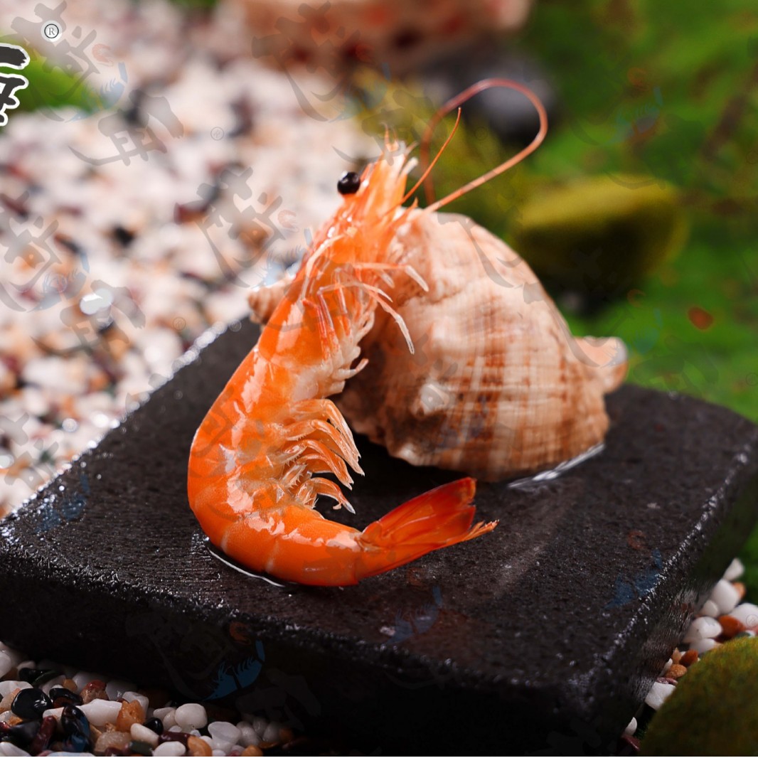 Tanghai Brand Thai Fragrant Shrimp Manufacturer Wholesale South American White Shrimp with Head Cooked Shrimp Frozen Commercial 750G/Box