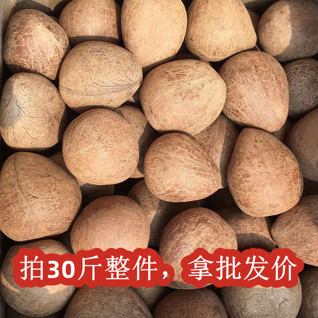 Big Coconut Indian Coconut King Big Fruit Wholesale Coconut Chicken Restaurant Big Coconut King Sea Coconut Pot Coconut Chicken 15kg