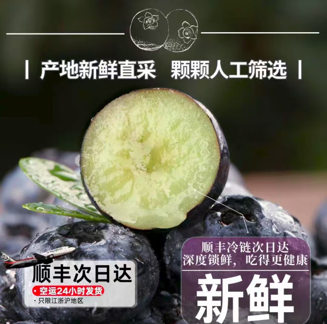 Blueberry Fresh Fruit Yunnan Floral Blueberry Fresh Fruit 10 Boxes of Large Fruit Alpine Sweet Berries Whole Box Sf
