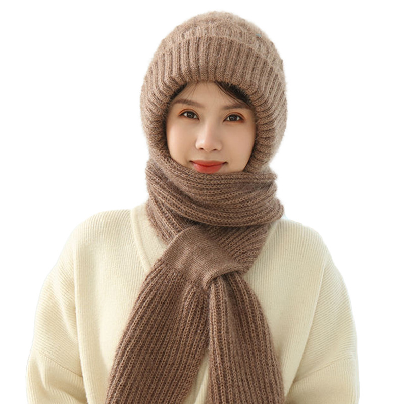 Fleece-lined thickened hat scarf integrated women's winter double-layer warm wool woven knitted net red hot snow hat
