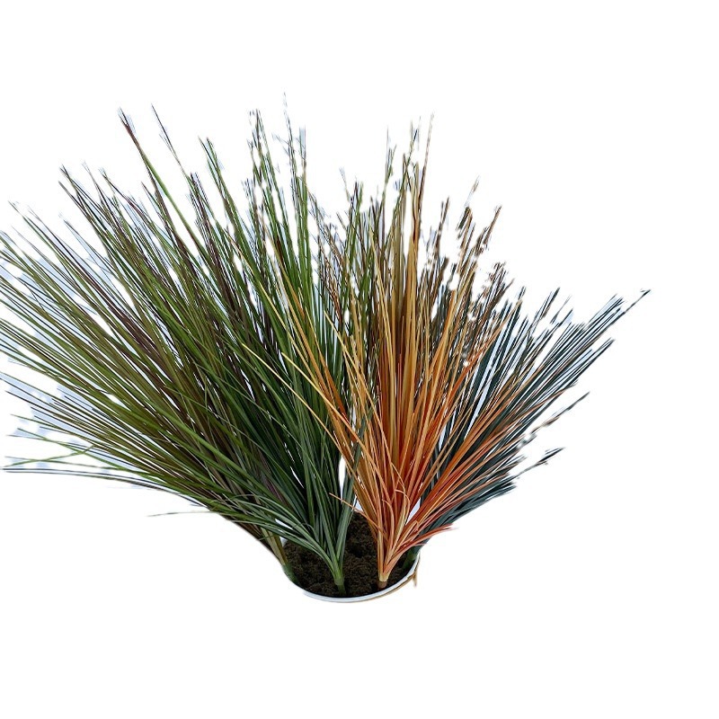 Nordic Internet Celebrity Simulation of Long-whisked Reed Grass Potted Plant Decoration Setaria Shops Restaurant Floor Ornaments ins