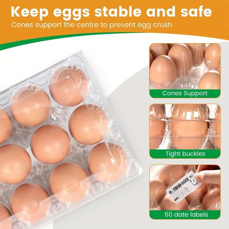 Многоразовые пластиковые контейнеры для яиц, оптовая продажа, популярные на Amazon в 2025 году