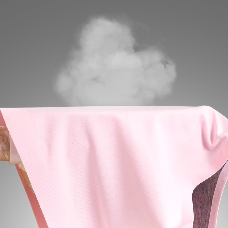 Ready Stock Women's Ice Silk Nylon Seamless Panties, One-Piece Breathable Mid-Waist Sexy Briefs, Triangle Panties